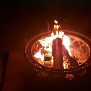 Meet your Posher, Lily